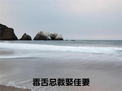 司徒兰心（毒舌总裁娶佳妻）小说最后结局-（毒舌总裁娶佳妻）完结版免费阅读