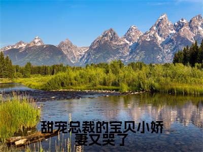 江念依周砚霆全文免费大结局-甜宠总裁的宝贝小娇妻又哭了结局在线阅读