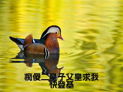 痴傻二皇子父皇求我快登基（云柏武）全文免费阅读无弹窗大结局_（云柏武免费阅读）痴傻二皇子父皇求我快登基无弹窗最新章节列表