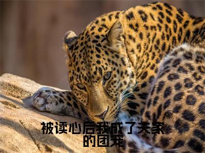 萧景湛诸寻桃（被读心后我成了夫家的团宠）小说全文无删减-萧景湛诸寻桃小说免费阅读大结局（免费+全集）