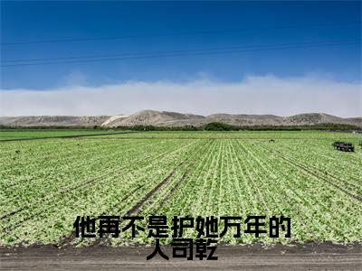 姜姒司乾小说全文（他再不是护她万年的人司乾）在线阅读-姜姒司乾全文免费阅读无弹窗大结局（姜姒司乾后续+免费）