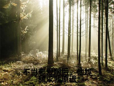 不当恋爱脑后，他跪舔求我原谅（沈婉清）全文免费阅读无弹窗_不当恋爱脑后，他跪舔求我原谅完整版最新阅读_笔趣阁（沈婉清）