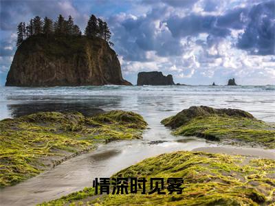 情深时见雾小说（傅辞凉倪楠全文完整版免费阅读）_情深时见雾小说免费最新章节列表_笔趣阁