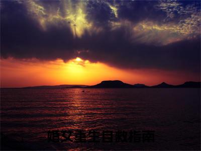 （热推新书）美文摘抄（婚女重生自救指南）主人公为（许婧何易）的小说婚女重生自救指南大结局全文免费阅读_笔趣阁