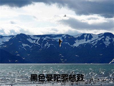 黑色曼陀罗林致（苏凝安林致）全文免费阅读无弹窗大结局_黑色曼陀罗林致免费阅读无弹窗最新章节列表_笔趣阁
