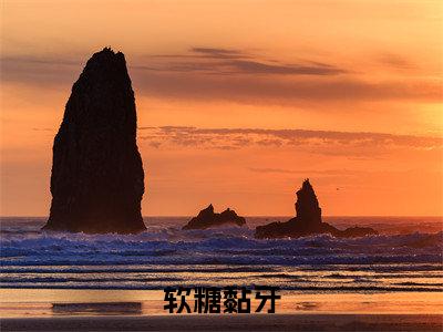 软糖黏牙小说最新试读_（蒋鹿林晏免费阅读最新章节列表）_笔趣阁
