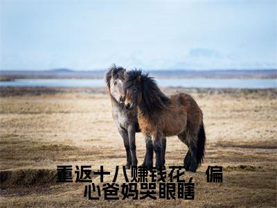 重返十八赚钱花，偏心爸妈哭眼瞎（裴煜苏婉小说）全文免费阅读无弹窗大结局_（裴煜苏婉）小说最新章节列表