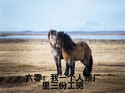 顾盼瑶（六零：我一个人领厂里三份工资）全文免费阅读无弹窗大结局_顾盼瑶完整章节阅读