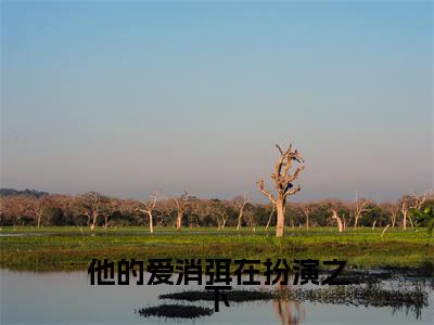 他的爱消弭在扮演之下（周明霄顾清歌）小说免费下载全本-他的爱消弭在扮演之下（周明霄顾清歌完整版）免费阅读大结局