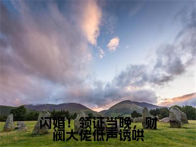 闪婚！领证当晚，财阀大佬低声诱哄小说江晚陆辞年（已完结小说全集完整版大结局）闪婚！领证当晚，财阀大佬低声诱哄小说全文阅读笔趣阁