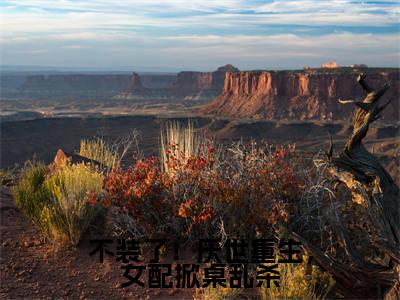 不装了！厌世重生，女配掀桌乱杀（云宴尘楚瓷歌）全文免费阅读无弹窗_（云宴尘楚瓷歌）小说全文免费阅读最新章节_笔趣阁