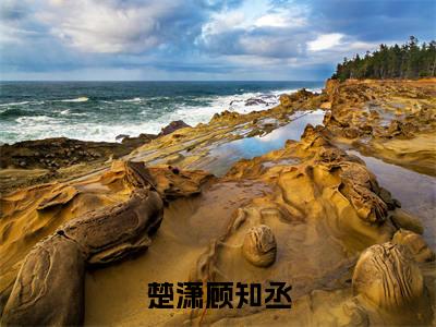 顾知丞楚潇高赞小说（楚潇顾知丞）完结阅读_楚潇顾知丞免费看全文