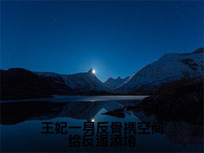 （免费）+（结局）王妃一身反骨携空间给反派添堵美文欣赏完整版，陆时晚墨祈天精彩章节在线阅读