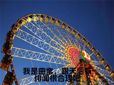 《我是曲爹，跟天后有绯闻很合理吧完整小说》苏辰完结版全章节阅读