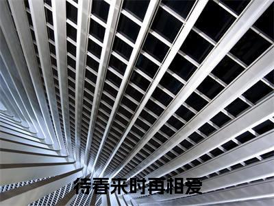 傅寒姜虞（待春来时再相爱）全文免费阅读无弹窗大结局_（傅寒姜虞小说全文免费阅读）最新章节列表