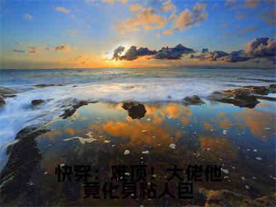 快穿：难顶！大佬他竟化身粘人包（云月卿南辞）全文免费阅读无弹窗大结局_云月卿南辞小说最新章节列表