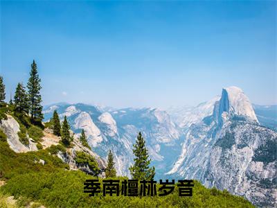 季南檀林岁音的小说全文免费阅读无弹窗，林岁音季南檀的小说在线免费阅读大结局（林岁音季南檀）
