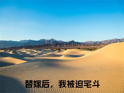 小说（替嫁后，我被迫宅斗）在线赏析_苏青txt小说在线阅读笔趣阁