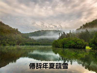 傅辞年夏疏雪（傅辞年夏疏雪）小说全文-傅辞年夏疏雪小说免费阅读大结局