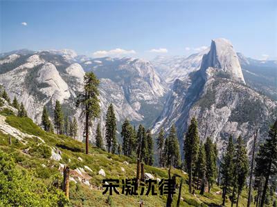 宋凝沈律（沈律宋凝）全章节完整版免费小说_宋凝沈律最新章节在线阅读_笔趣阁