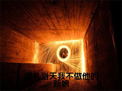 盛纤纤小说（婚礼当天我不做他的新娘）全文免费阅读无弹窗大结局_（盛纤纤免费阅读全文大结局）最新章节列表