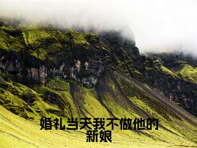 盛纤纤（婚礼当天我不做他的新娘）最火言情小说免费观看-小说婚礼当天我不做他的新娘（盛纤纤）今日已更新最新章节
