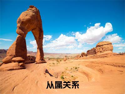 从属关系免费小说_江绾沈熄免费最新章节列表_笔趣阁