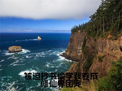 被迫抄书偷学我卷成修仙界团宠（墨安亦小说）全文免费阅读无弹窗大结局_被迫抄书偷学我卷成修仙界团宠（墨安亦）最新章节列表笔趣阁