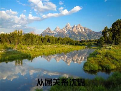 （从属关系沈熄）全网热搜是什么小说_从属关系沈熄小说（江绾沈熄）热门章节阅读无弹窗_笔趣阁（江绾沈熄）