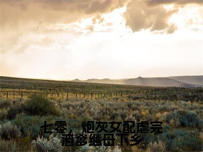 七零，炮灰女配虐完渣爹继母下乡全文免费阅读无弹窗大结局，苏宛筠陆博宇小说最新章节