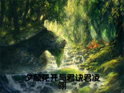 蓝羽裳君凌翊（夕颜花开与君诀君凌翊）全文免费阅读无弹窗_夕颜花开与君诀君凌翊最新小说