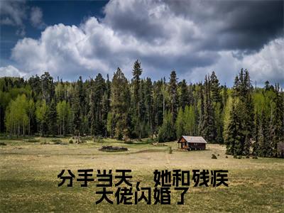 分手当天，她和残疾大佬闪婚了小说全文（谢清辉苏若晚）全文免费阅读无弹窗大结局-（谢清辉苏若晚）无弹窗免费阅读大结局