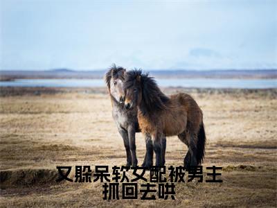 又躲呆软女配被男主抓回去哄（顾今梦谢砚临）笔趣阁免费小说_又躲呆软女配被男主抓回去哄笔趣阁全文阅读