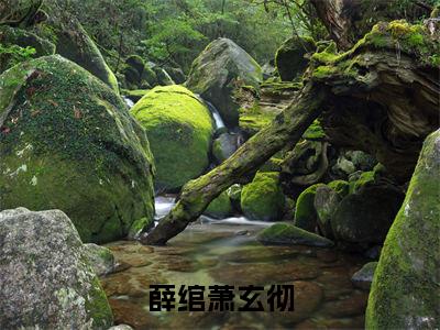 薛绾萧玄彻小说全文（薛绾萧玄彻）在线阅读-薛绾萧玄彻全文免费阅读无弹窗大结局（薛绾萧玄彻后续+免费）