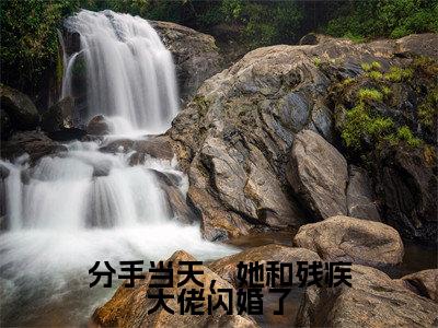 谢清辉苏若晚（分手当天，她和残疾大佬闪婚了）未删减-谢清辉苏若晚完结版阅读地址