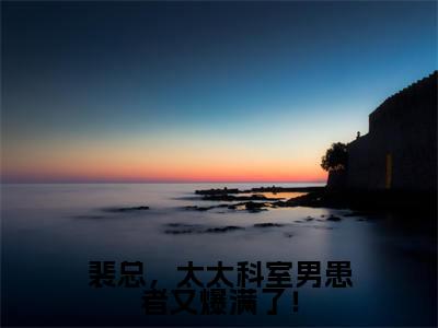 裴总，太太科室男患者又爆满了！（裴锦川顾眠）小说精彩免费内容_裴总，太太科室男患者又爆满了！（裴锦川顾眠）最新章节全文阅读大结局
