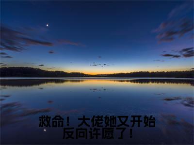 救命！大佬她又开始反向许愿了！小说全文免费阅读无弹窗大结局_白秋梧最新章节列表_笔趣阁