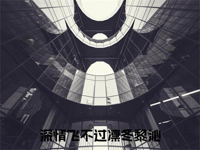 深情飞不过凛冬黎沁（黎沁）小说全文免费_深情飞不过凛冬黎沁（黎沁）最新章节目录笔趣阁