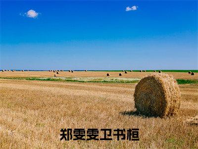 郑雯雯卫书桓（郑雯雯卫书桓）小说全文免费读无弹窗大结局_郑雯雯卫书桓小说全文免费阅读最新章节列表