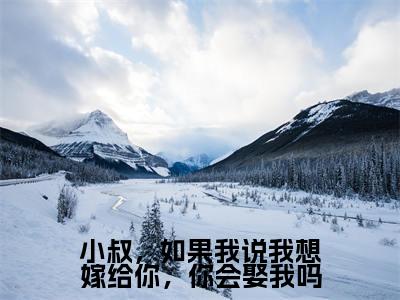 小叔，如果我说我想嫁给你，你会娶我吗（林予眠傅时礼最新章节）在线阅读-免费小说小叔，如果我说我想嫁给你，你会娶我吗全文阅读