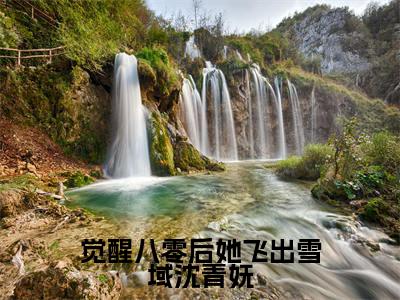 觉醒八零后她飞出雪域沈青妩免费阅读无弹窗，小说达瓦央宗沈青妩大结局全文免费阅读