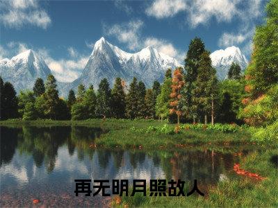 林静疏纪淮霆（再无明月照故人）免费小说-（再无明月照故人）完结版在线阅读