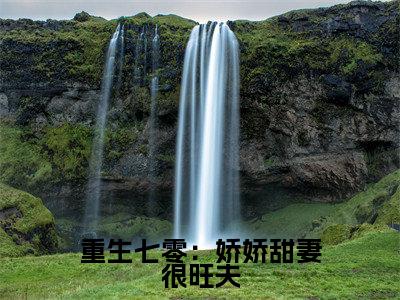 重生七零：娇娇甜妻很旺夫全文（陆珍珍）全文免费阅读无弹窗大结局_陆珍珍全文免费阅读最新章节列表