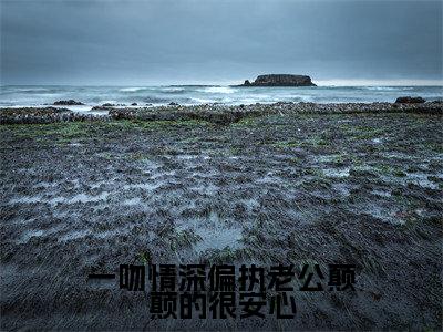 姜西柠傅淮序（一吻情深偏执老公颠颠的很安心）全文免费阅读无弹窗大结局_姜西柠傅淮序免费试读阅读全文无弹窗