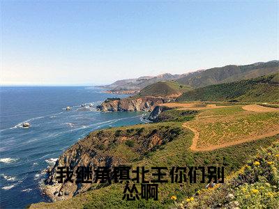 主角为叶凌风的小说-我继承镇北王你们别怂啊（叶凌风）全文完整版阅读