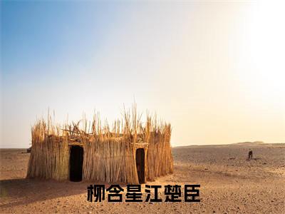 柳含星江楚臣是什么小说，柳含星江楚臣（柳含星江楚臣）完整章节在线阅读
