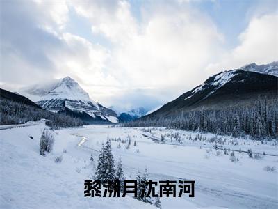 黎溯月沈南河全文免费阅读无弹窗大结局_（黎溯月沈南河完结）黎溯月沈南河小说最新章节列表