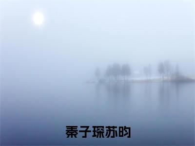 秦子琛苏昀（苏昀秦子琛）抖音热推小说全集无删减_（苏昀秦子琛免费阅读全文大结局）最新章节列表_笔趣阁