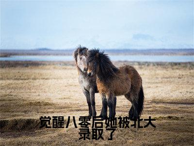 觉醒八零后她被北大录取了全文免费阅读_（觉醒八零后她被北大录取了）宋昭禾陆琮最新小说_笔趣阁