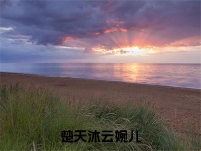 小说（楚天沐云婉儿）免费阅读-小说（云婉儿楚天沐）楚天沐云婉儿全文在线赏析最新章节列表_笔趣阁